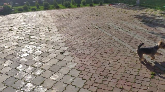 Большой привет от маленькой компании 💓