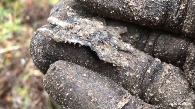 Две мертвые головы повергли меня в шок