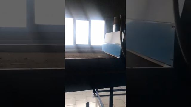 Линия для нанесения солевого раствора на семечку