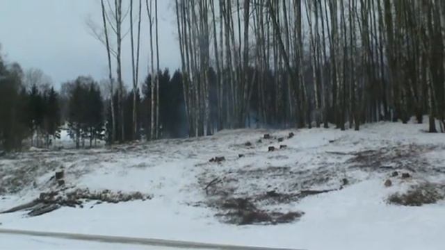 Календарь природы. Март.