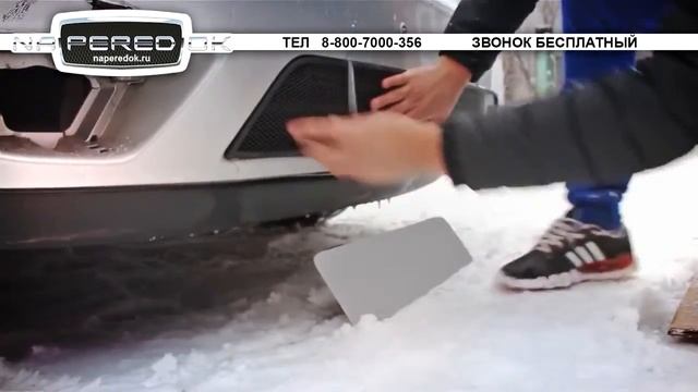 Сетка на решетку радиатора для Ford Focus Restyling I 2003-05 г. Naperedok