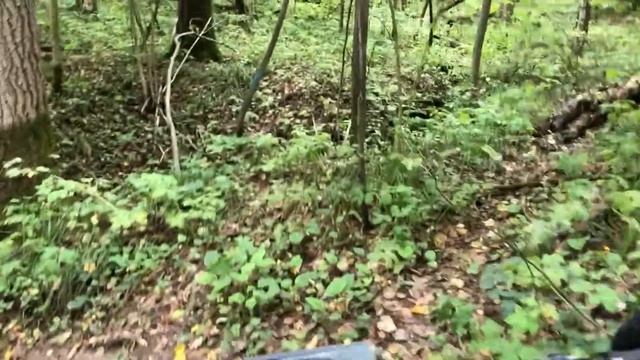 Покатушки по лесу на Currus R11 и Электровелосипеде.