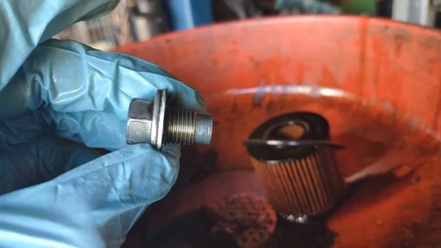 Замена масла и фильтров в двигателе и КПП