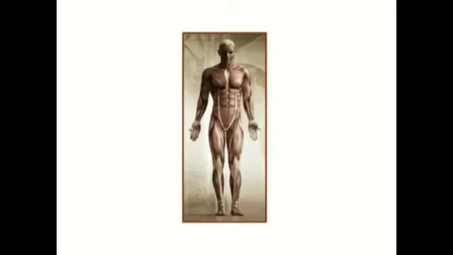 4518eb35fb2f182924ea1d525de8c356