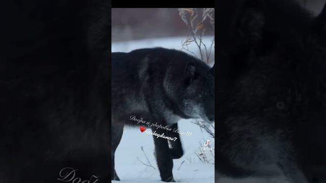 Добра и здоровья вам