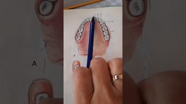 C5a507c5ee3e23a1687c05a4b4736af2