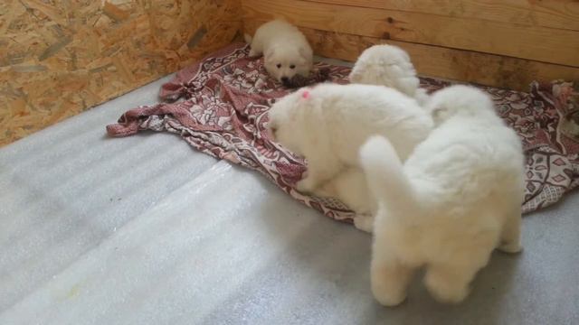 Покушали, можно и отдохнуть -)