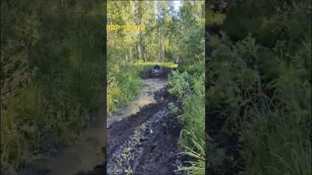 BRP 1000 засадили