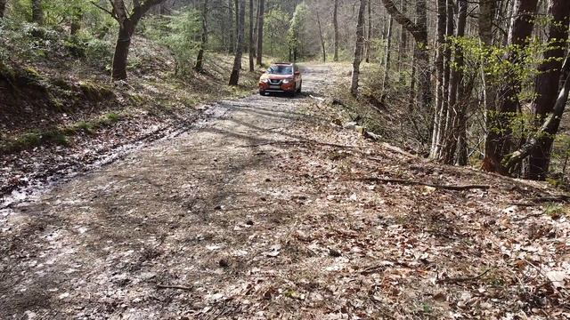 SUV Nissan X-Trail OFFROAD T32 ( River Crossing)