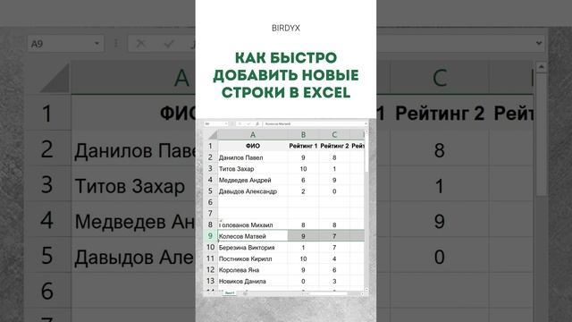 Birdyx. Excel и Google таблицы для бизнеса