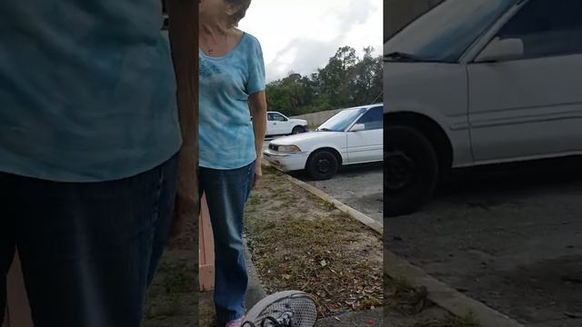 Neighbor From Hell / Apartments Living