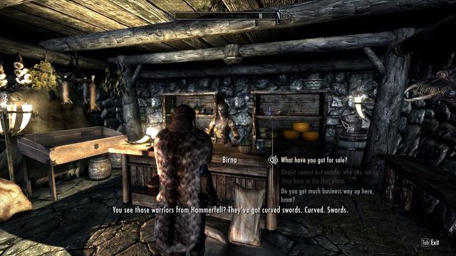 Let's Roleplay Skyrim: Zahjira's Travels - 1.011