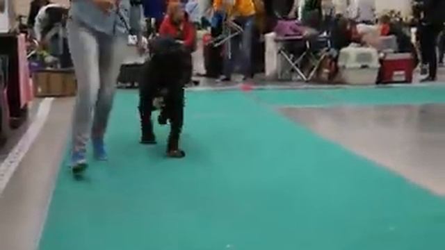 Моно ранг ПК, Санкт-Петербург, 04.05.2019Г