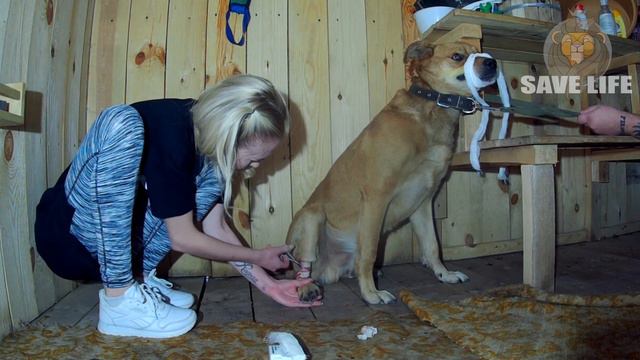 72dc648b9f8d307dfbb7cd99b7c2fc76