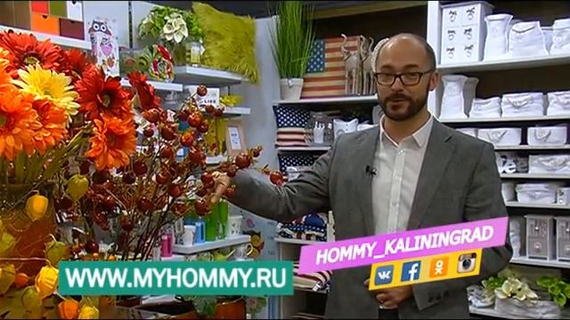 Хомми, 2 ноября 2016