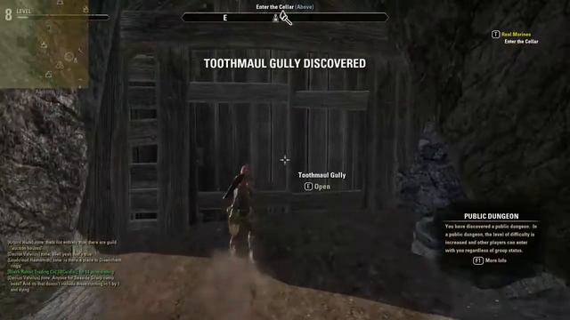 Elder Scrolls Online Night Blade Wood Elf