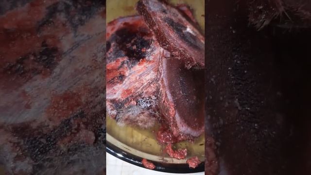 Творческий Путь к Искусству