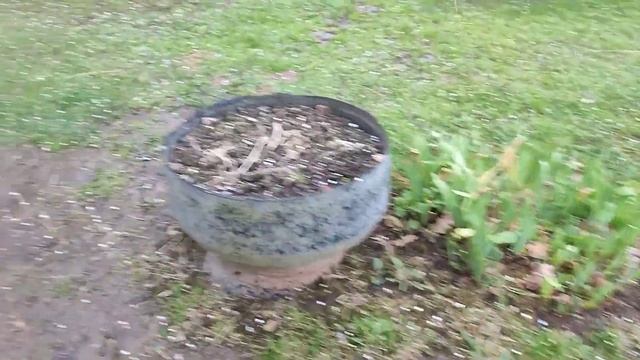 Град помешал параду.