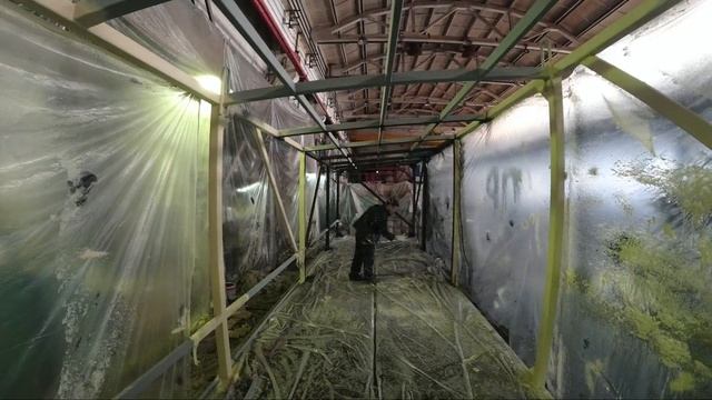 7a17ffe6249e14dc2c57455bc5a35e8c