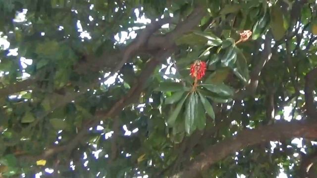 Сменить обстановку / С КАТЕЙ в Виджевано  / ИТАЛИЯ