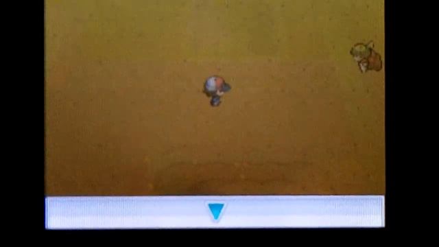 Live Reaction Shiny Sandile After 756 REs! (Pokemon White)