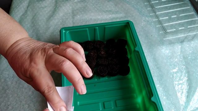 ПРОЩЕ НЕ БЫВАЕТ! ПОСЕВ ЛОБЕЛИИ.  ПОЛЕЗНЫЙ ЛАЙФХАК!