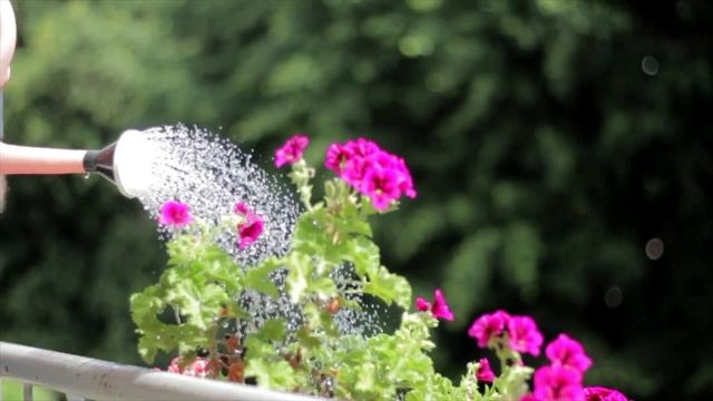 Секреты Творческой Реализации