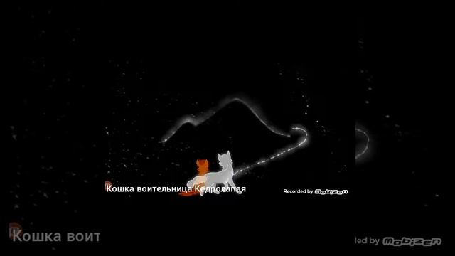 Белка и Ежевика песня - Просто...