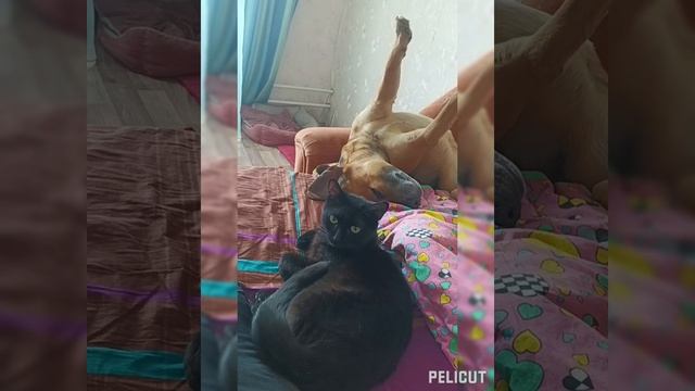 143d416c5ab9b83301103b05cad50d64