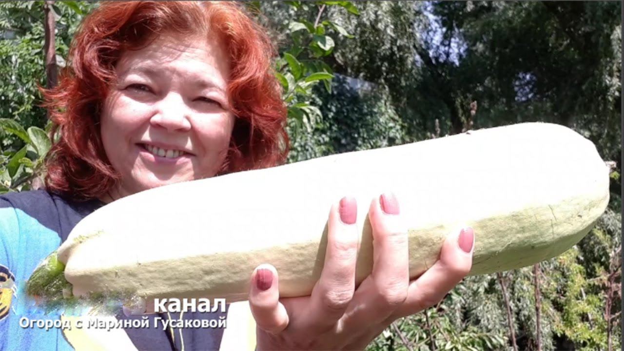 ОБЗОР САДа и ОГОРОДа в середине июня   ПЕРВЫЙ УРОЖАЙ и находка огромного СЛИЗНЯ  у нас во дворе