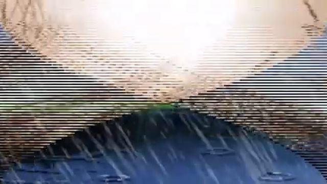 Memory Of P.Mauriat (Annaalex Music) Nostalgie.