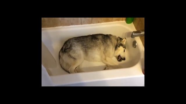 C940d5be32d10006762f92ff768403fe