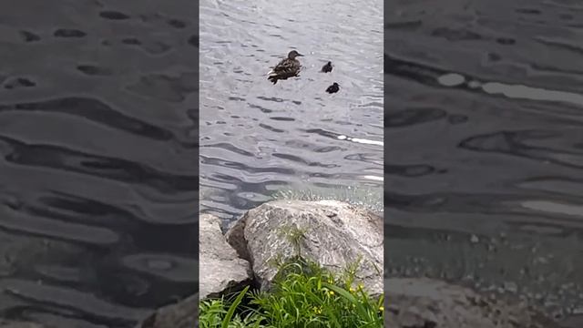 21dbd31323d35c28ce8cb2945021467b