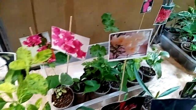 ВЫСТАВКА 30 сентября. Маленькая часть-большое удовольствие.