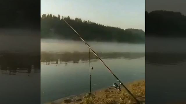 325e1307f0f6d939f3301c447ba493cb