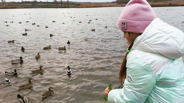 Южный парк птиц Малинки