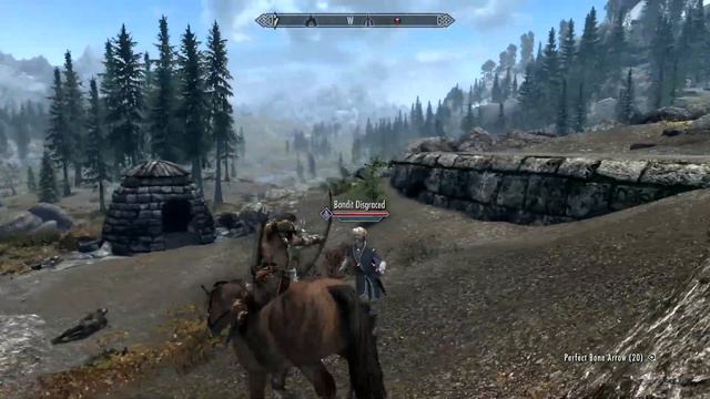 Skyrim (AE): True Directional Movement/HUD On Horseback - Super OP And FUN Gameplay