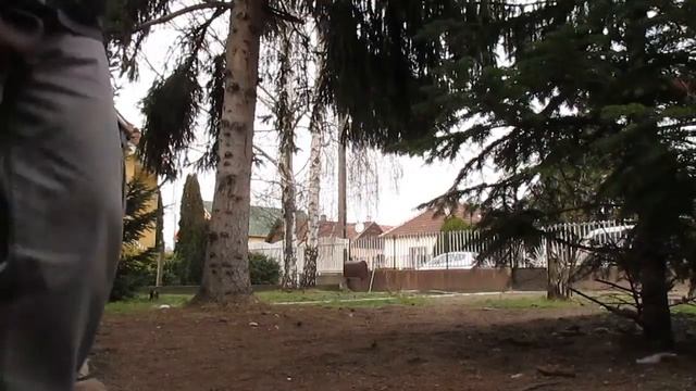 Phil The Obedient Boxer (Canon SX160IS Test)