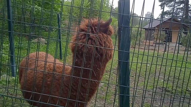 6c40c12b48a9f0aac68b4dad4cb4b4d1