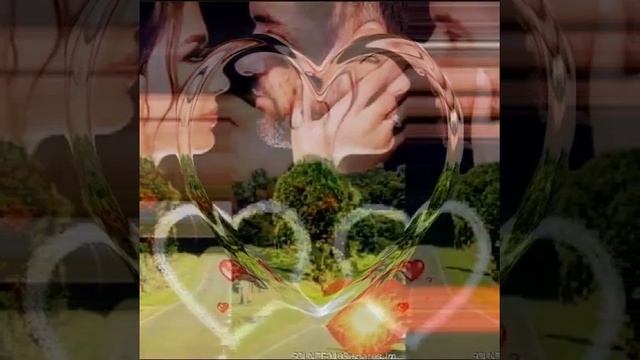 B87923f28cdce3b7a13a012dae94709a