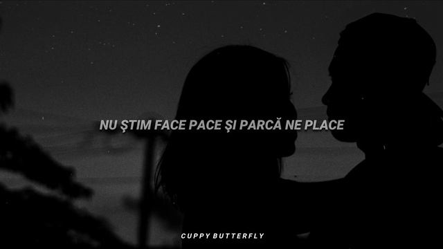 Vescan & Kamelia - Piesa Mea Preferată | Slowed & Reverb (lyrics)