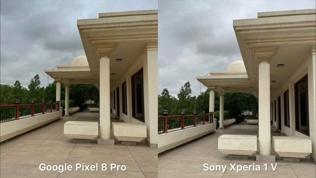 Google Pixel 8 Pro Vs Sony Xperia 1 V Camera Test