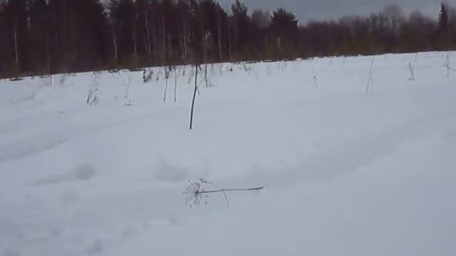 M4V03120 Питбайк зимой