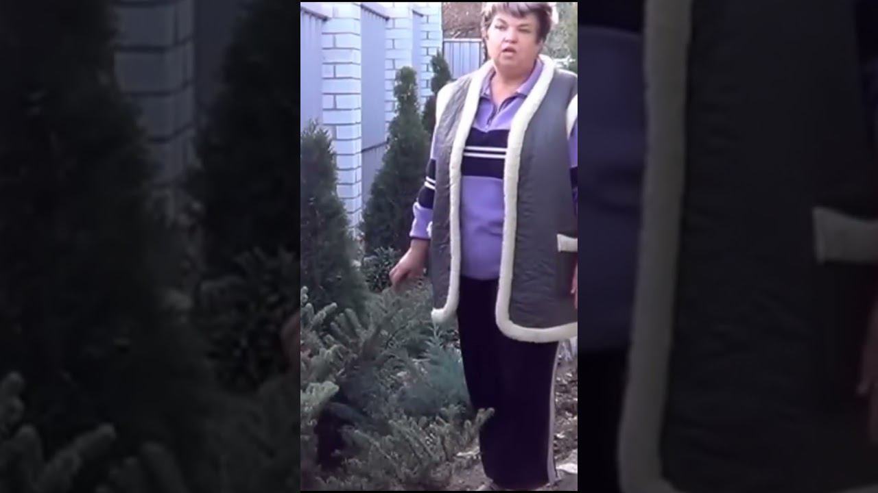 Маэстро Мажор