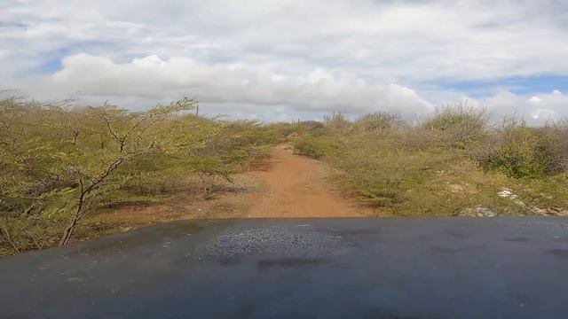 Pombo Suzuki Vitara Turbo Diesel - Garage Tour L EPISODE 18