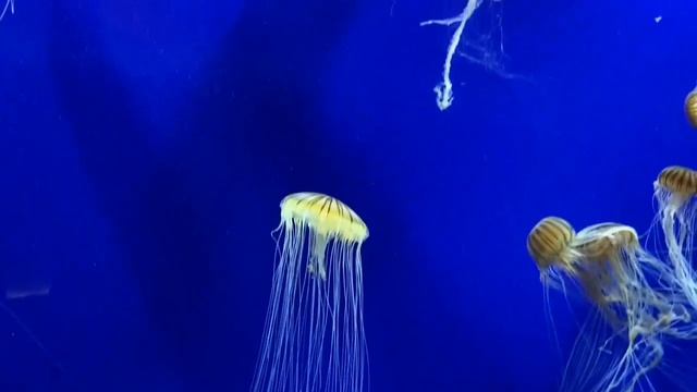 E88b1e071674cd3710b30bd2b2872dbd