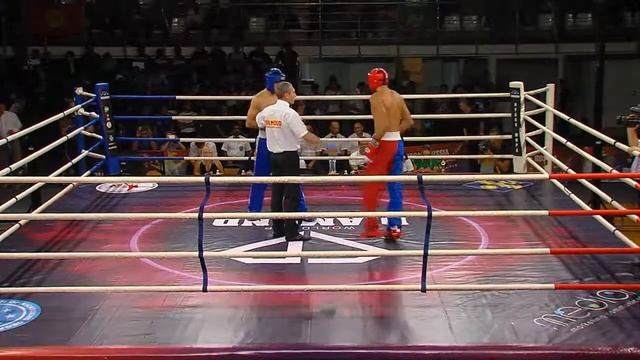 Кубок мира по кикбоксингу. Часть 3.