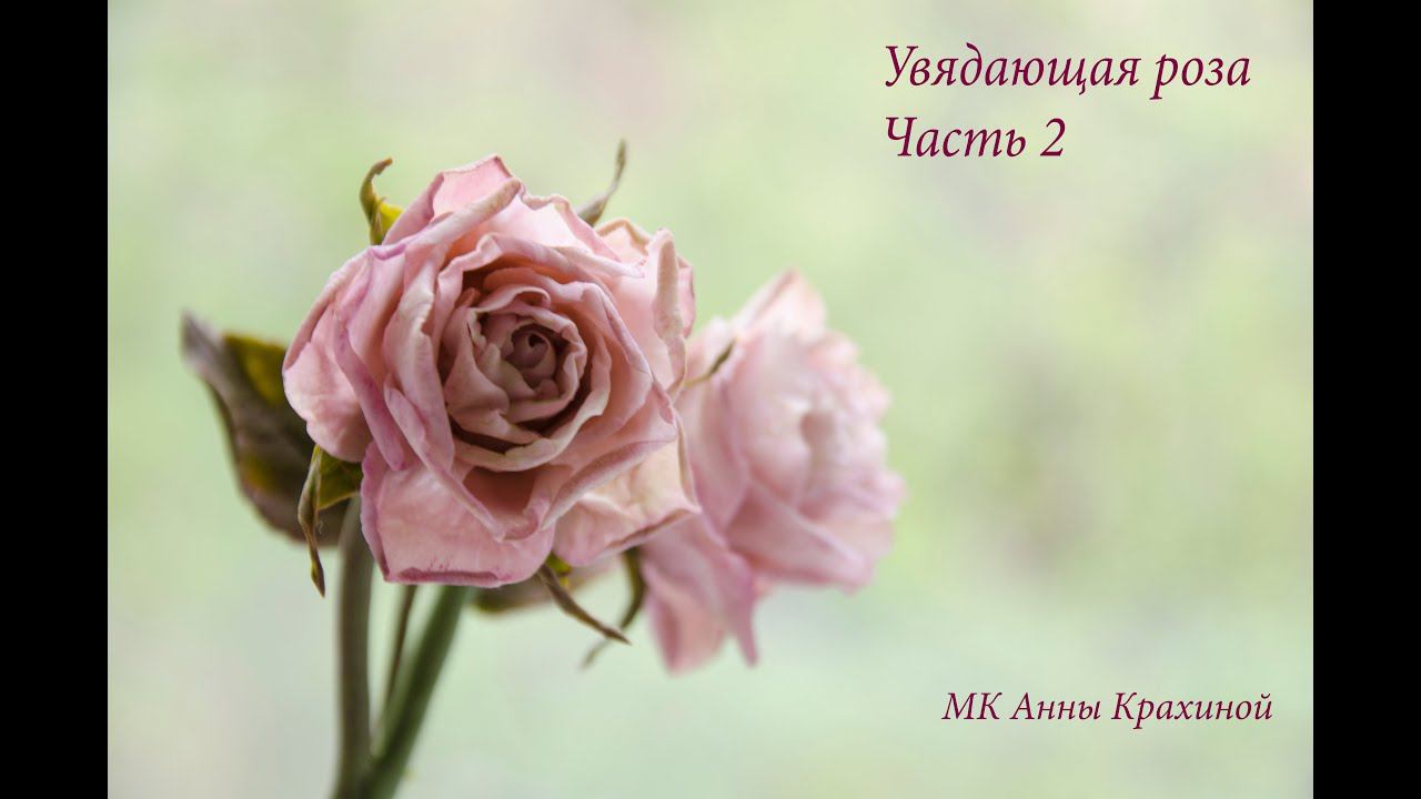 B24e5fb4fe587dd9fc8e2fc139715eb5