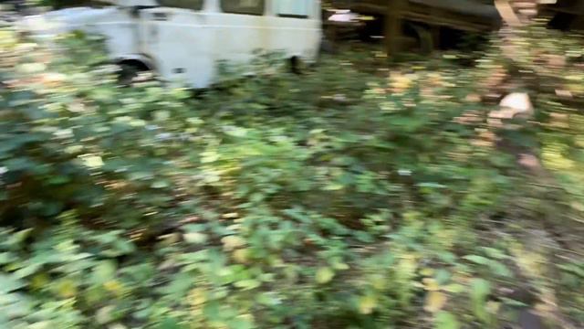 I Explore These Forgotten Classic Cars With The Famous Jonny Smith AKA Car Pervert!