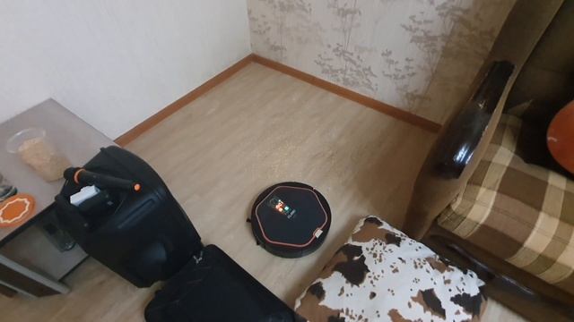 Качество уборки и нереально крутые высказывания Володи говорящего робот пылесоса. 18+)))
